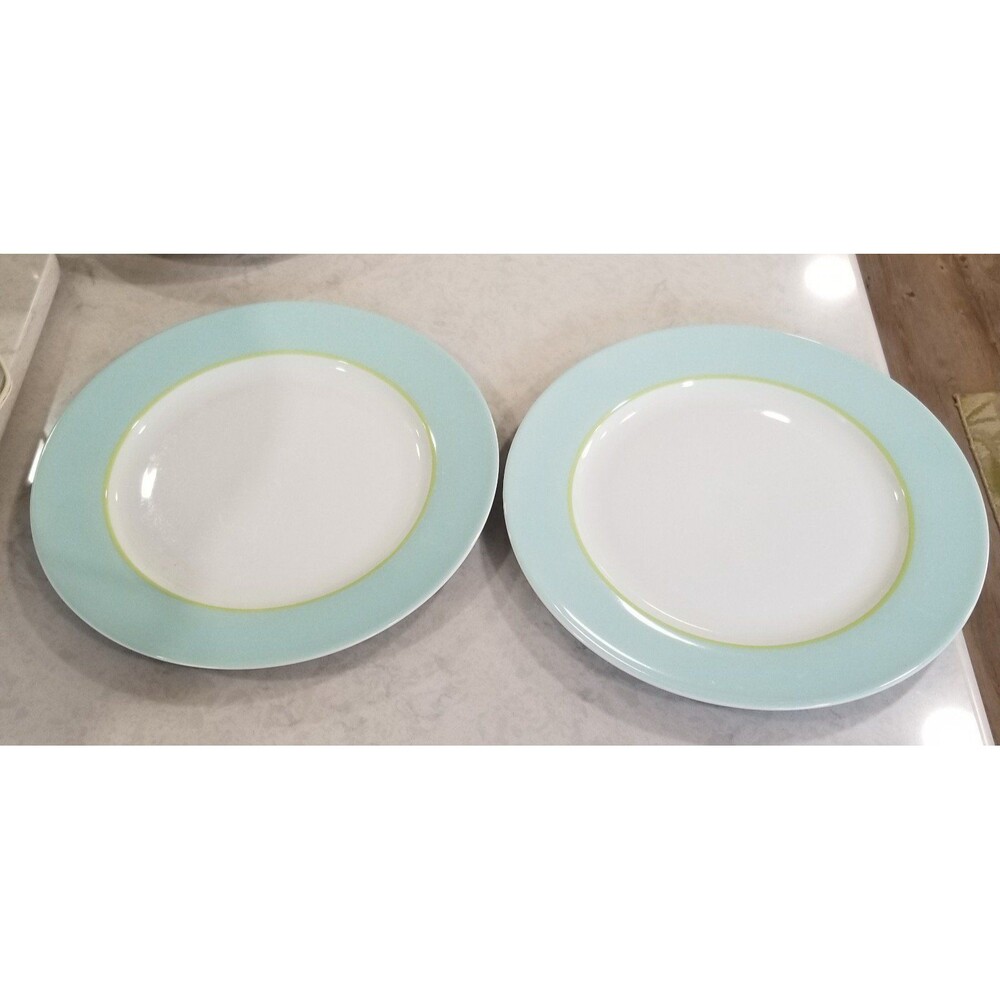 Pair of porcelain dinner plates approx 11" vintage